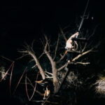 Ischia: Adventure Night with zipline - Why We Think This Tour Works
