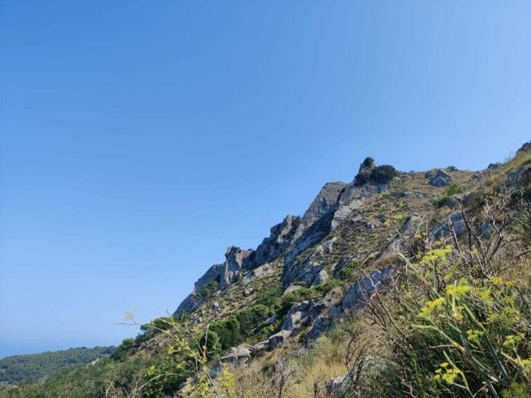 Ischia: Epomeo summit hike - Final Thoughts: Is This Tour Right for You?