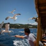 Island Hopping & City Walls Cruise with Food and Open Bar - Who Should Consider This Tour?