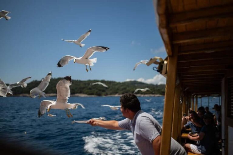 Island Hopping & City Walls Cruise with Food and Open Bar - Who Should Consider This Tour?