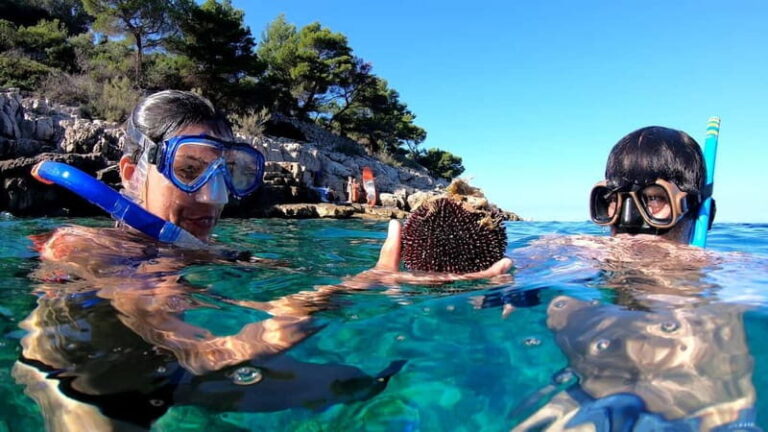 Island Losinj Kayak Tour - What’s Included and What to Bring