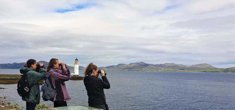 Isle of Mull: Guided Coastal Walk to Tobermory Lighthouse - Practical Details and Tips