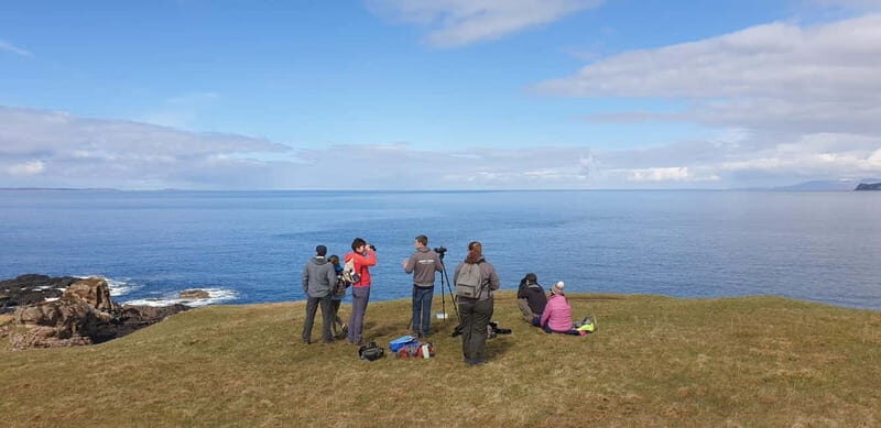 Isle of Mull: Guided Wildlife Watch at Glengorm Castle - A Detailed Look at the Wildlife Watch Experience
