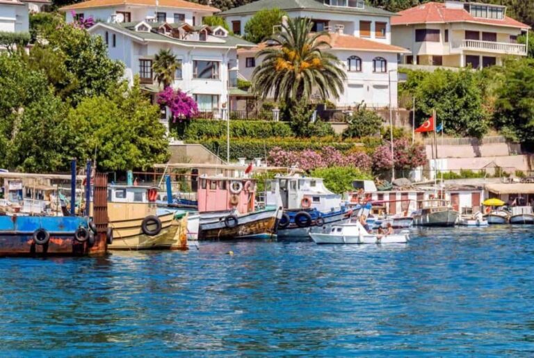 Istanbul 3 Island Cruise with Lunch & Free Time - Price and Value: Is It Worth It?