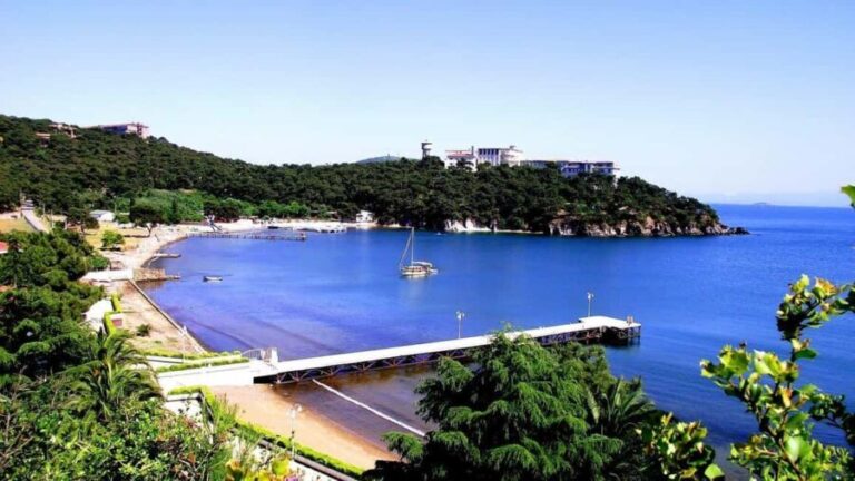 Istanbul: 3 Princes' Islands Cruise with Lunch and Guide - Final Thoughts