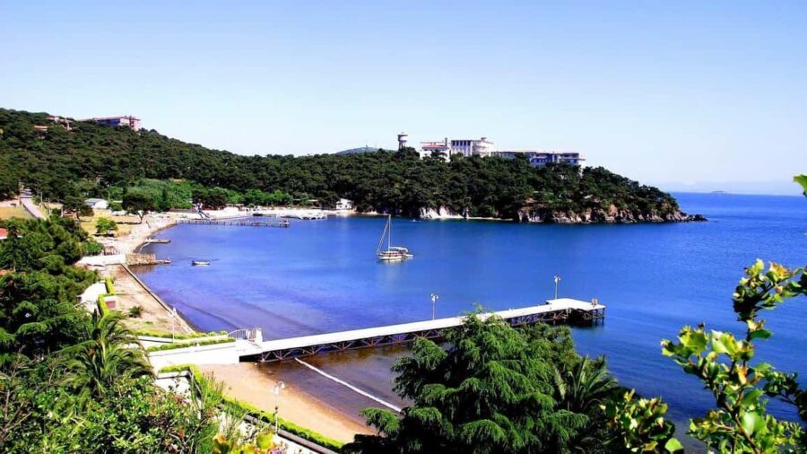 Istanbul: 3 Princes' Islands Cruise with Lunch and Guide - Final Thoughts