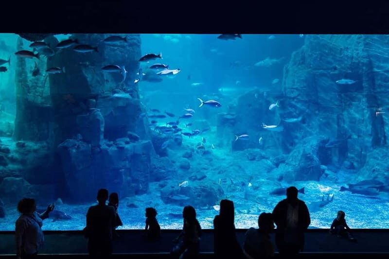 Istanbul: Aquarium Ticket with Shuttle Bus from Sultanahmet - What Do the Reviews Tell Us?