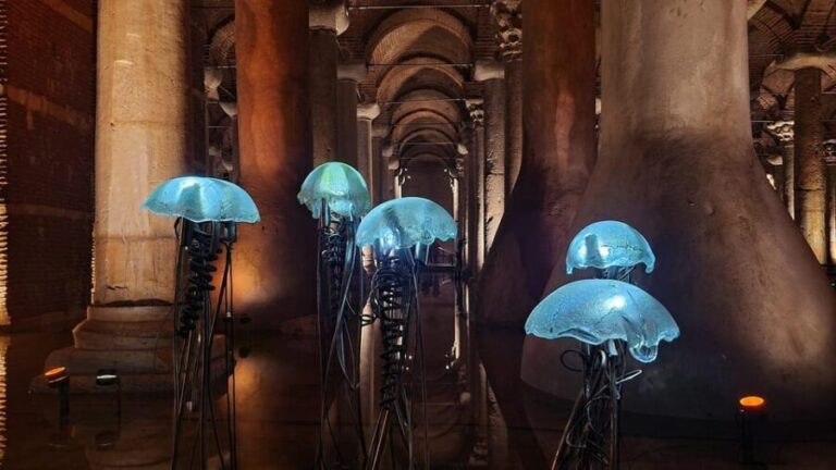 Istanbul: Basilica Cistern Skip-the-Line Entry Ticket - Who Will Love This Experience?