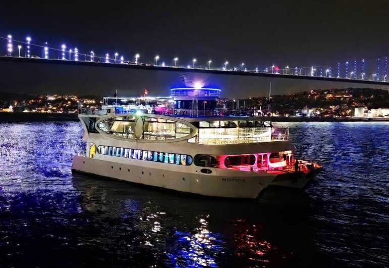 Istanbul: Bosphorus Cruise with Dinner Show - An In-Depth Look at What the Experience Offers