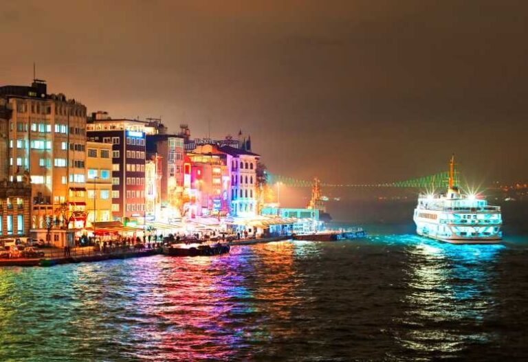 Istanbul: Bosphorus Dinner Cruise Incl. Drinks with Transfer - A Closer Look at the Experience