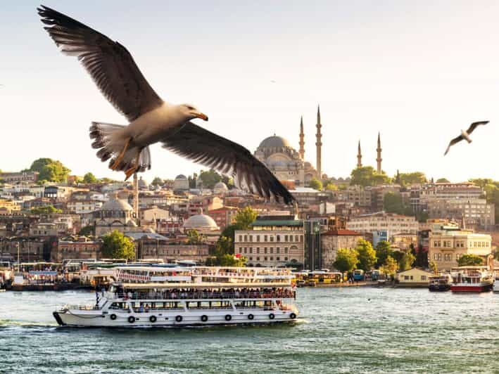 Istanbul: Bosphorus Morning/Sunset Cruise with Optional Stop - The Authenticity and Experience