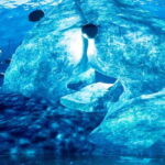 Istanbul: Digital Experience Museum Entry Ticket - In-Depth Breakdown of the Museum Experience