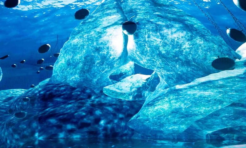 Istanbul: Digital Experience Museum Entry Ticket - In-Depth Breakdown of the Museum Experience