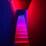 Istanbul: Dracula Horror House Escape Room Ticket - Highlights: What Makes This Escape Room Unique