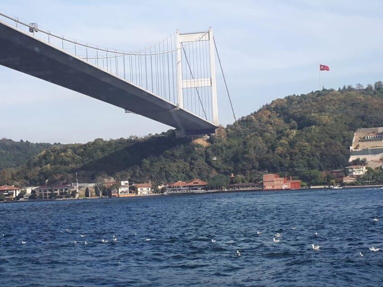 Istanbul: Full-Day City Tour with Bosphorus Cruise and Lunch - Considerations and Tips