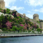 Istanbul Half-Day Tour and Bosphorus Cruise - Authentic Insights from Past Travelers