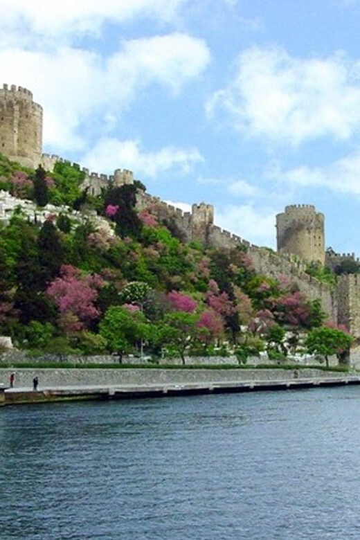 Istanbul Half-Day Tour and Bosphorus Cruise - Authentic Insights from Past Travelers