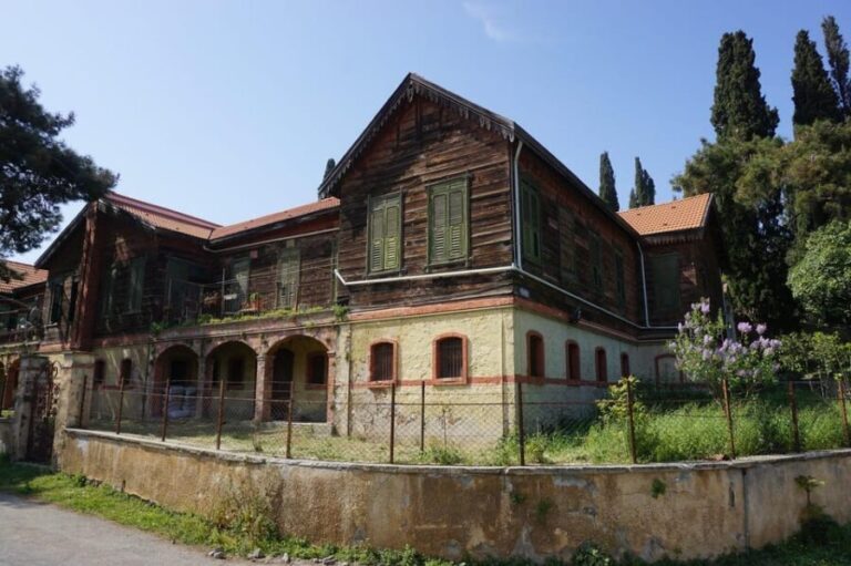 Istanbul Princes island Tour visiting 2 island - What’s Included and What’s Not