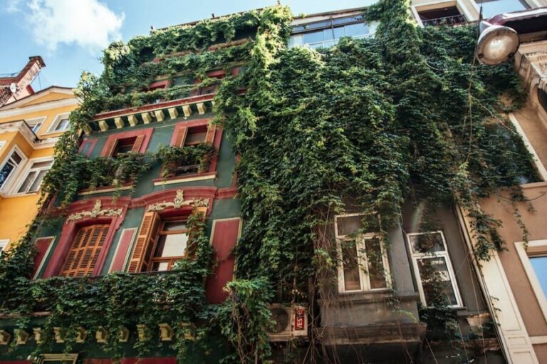 Istanbul: Private Guided Food Tour with 10 Tastings - The Value of This Tour