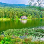 Istanbul: Sapanca, Bolu, Safranbolu and Amasra guided tour - Practical Details That Matter
