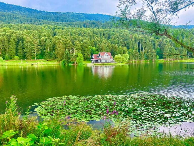 Istanbul: Sapanca, Bolu, Safranbolu and Amasra guided tour - Practical Details That Matter