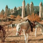 Istanbul to Cappadocia All Inclusive Private Day Tour - What Makes This Tour Stand Out?