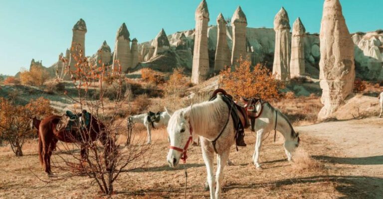 Istanbul to Cappadocia All Inclusive Private Day Tour - What Makes This Tour Stand Out?
