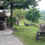 Istria: Unknown Istria and "World's Smallest City" Hum - What’s Included and What’s Not