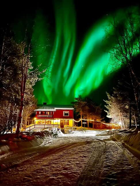 Ivalo: Private Farm Visit & Husky Experience - Exploring the Experience in Detail