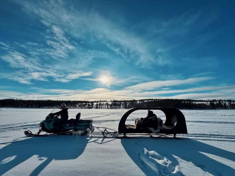 IVALO: Snowmobile Sled Ride to Wilderness - What’s Included and What To Consider