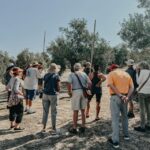 Jaén: Guided Olive Grove Tour - FAQ