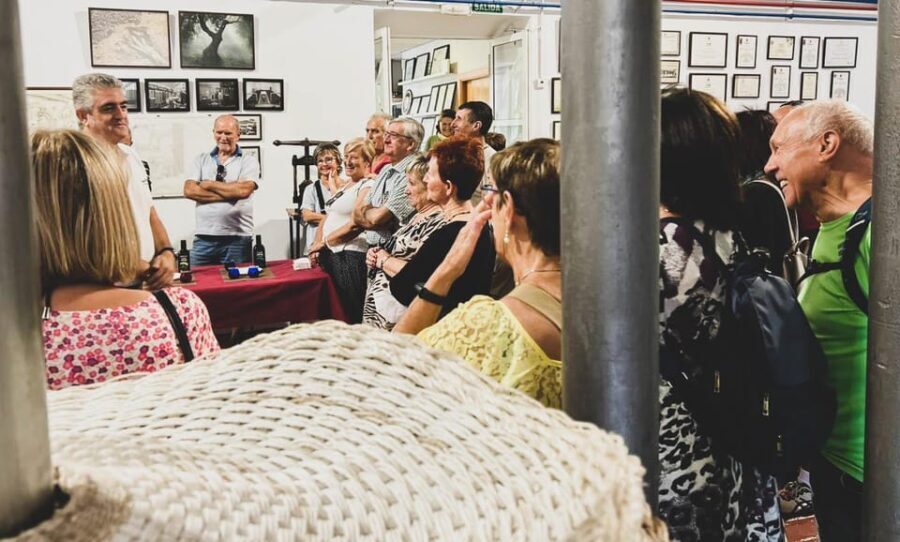 Jaén: Guided Olive Mill Tour with Olive Oil Tasting - The Experiences Value in Context