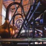 Jarnac: Braastad cognac discovery tour - The Experience of Small Groups