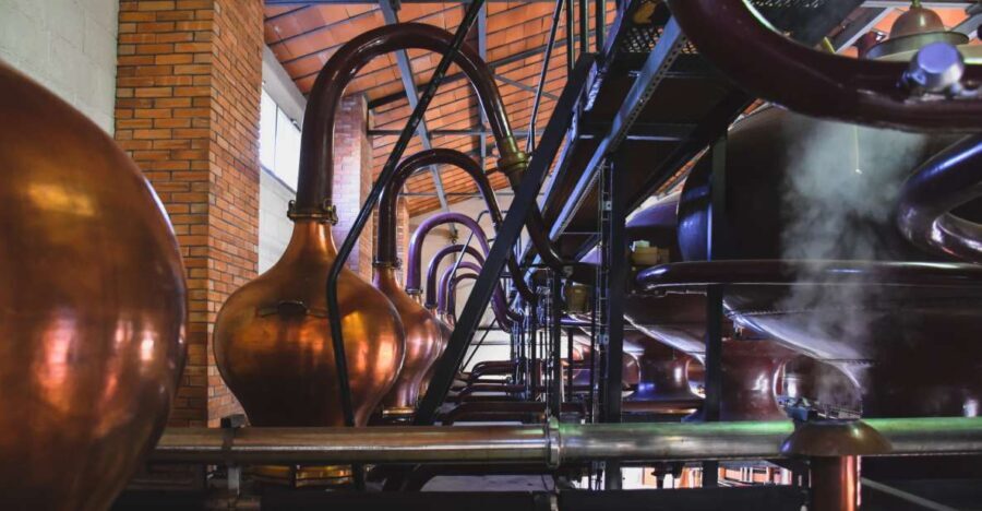 Jarnac: Braastad cognac discovery tour - The Experience of Small Groups