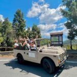 Jeep safari in the Aspromonte National Park - Authentic Encounters and Honest Reviews