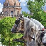 Jerez: Historic Center Guided Tour - Who Should Take This Tour?