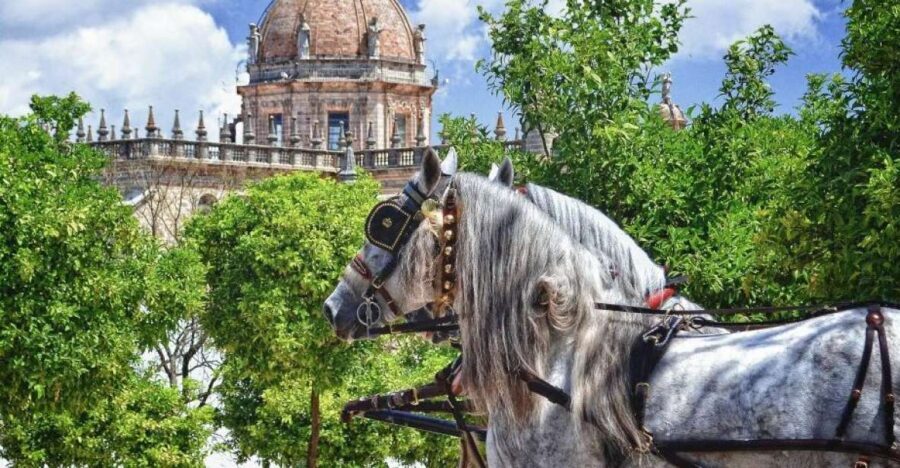 Jerez: Historic Center Guided Tour - Who Should Take This Tour?
