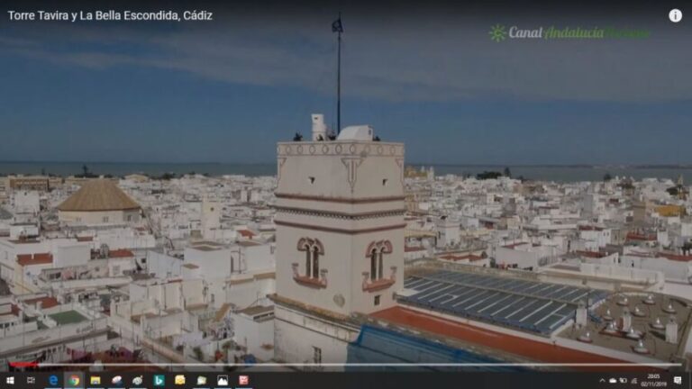 Jerez Private Tour From Seville: Wine and Equestrian Art - What Makes This Tour Stand Out?