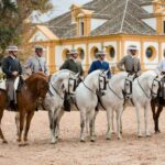 Jerez: Royal Andalusian School of Equestrian Art Admission - Who Should Visit?