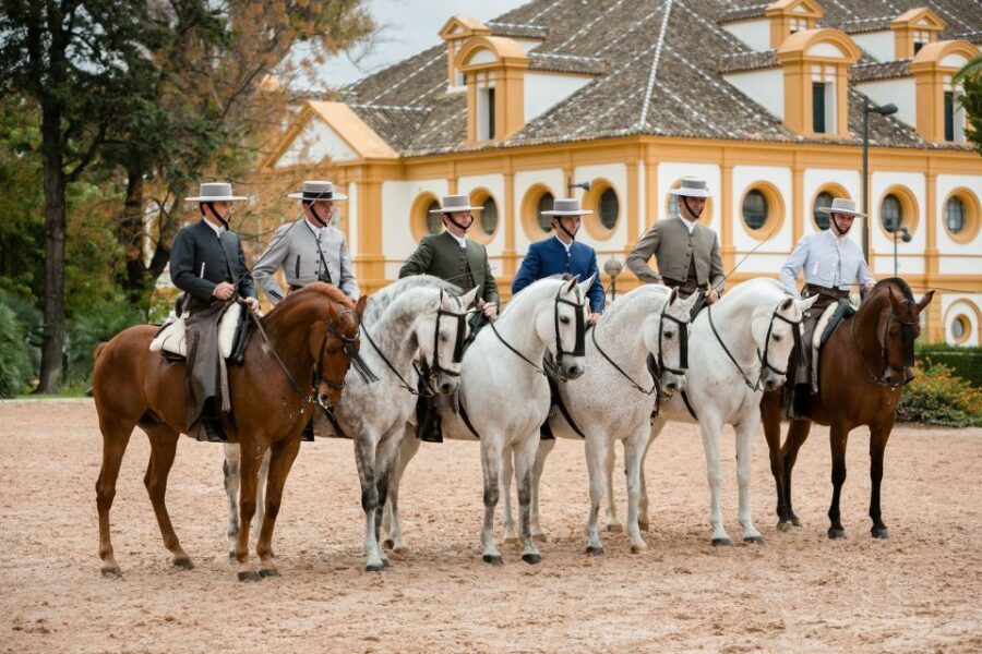 Jerez: Royal Andalusian School of Equestrian Art Admission - Who Should Visit?