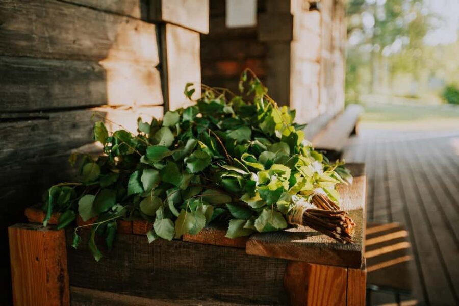 Jyvaskyla: Sauna Hopping at Revontuli's Sauna World - Final Thoughts: Is It Worth It?