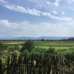 Kahketi: Full-Day Wine Tasting Tour with Lunch - Who Will Love This Tour?