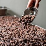 KAIACAO Bean to Bar and Design your own chocolate experience - The Price and Value