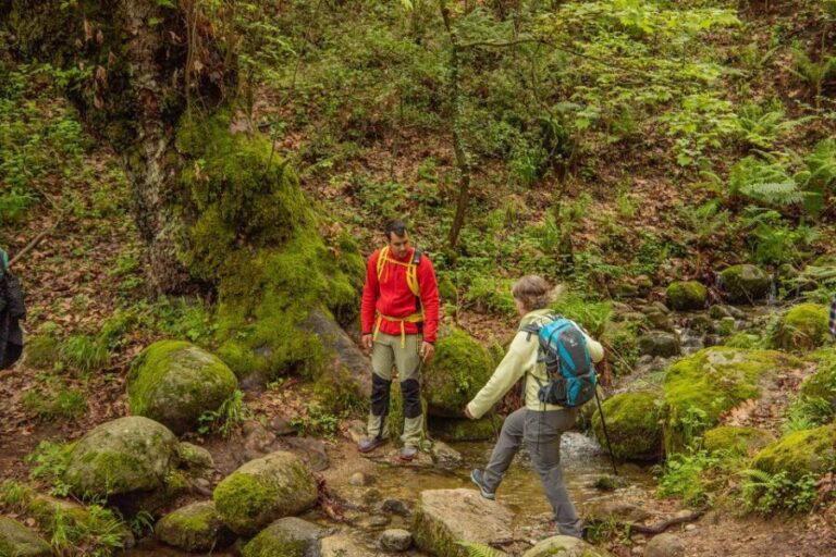 Kalabaka: Meteora Small-Group Hiking Tour w/ Monastery Visit - The Itinerary: What You’ll Cover