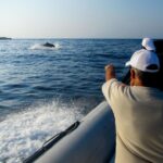 Kamiros Skala: Marine Life Experience by Boat - An In-Depth Look at the Experience