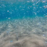 Kardamaina: Pirate Boat Cruise to 3 Bays with BBQ Lunch - Who Should Consider This Tour?