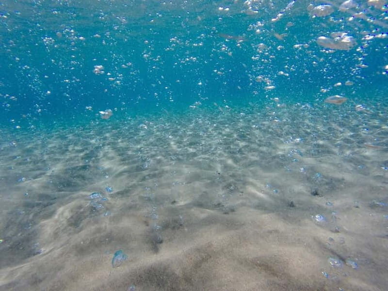 Kardamaina: Pirate Boat Cruise to 3 Bays with BBQ Lunch - Who Should Consider This Tour?