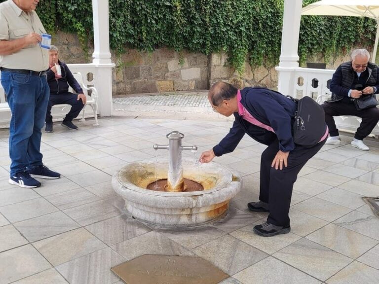 Karlovy Vary: Mineral Hot Springs Tasting and Walking Tour - Is This Tour Right for You?