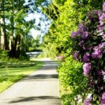 Kassel: Ready for the island?! Karlsaue and Siebenbergen in the scent of spring - Who Will Love This Tour?