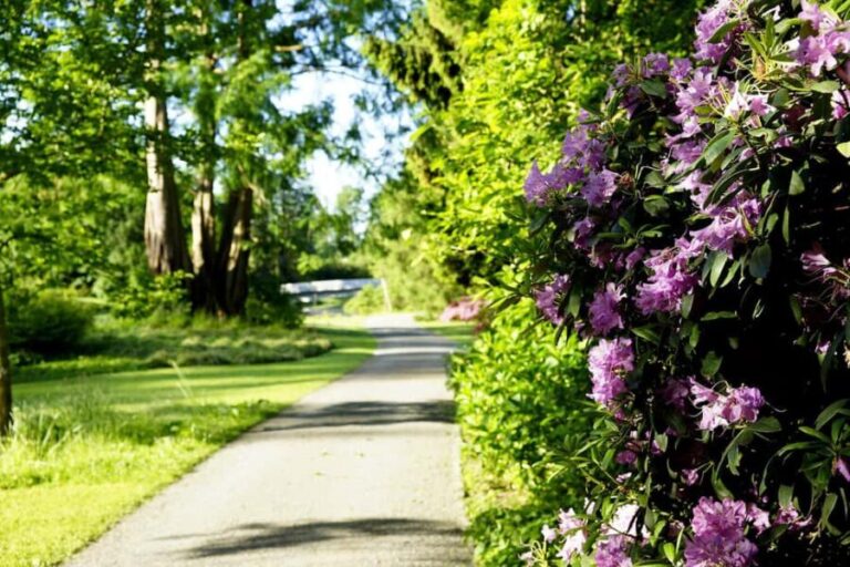 Kassel: Ready for the island?! Karlsaue and Siebenbergen in the scent of spring - Who Will Love This Tour?